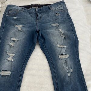 Torrid Distressed Denim Skinny Jeans